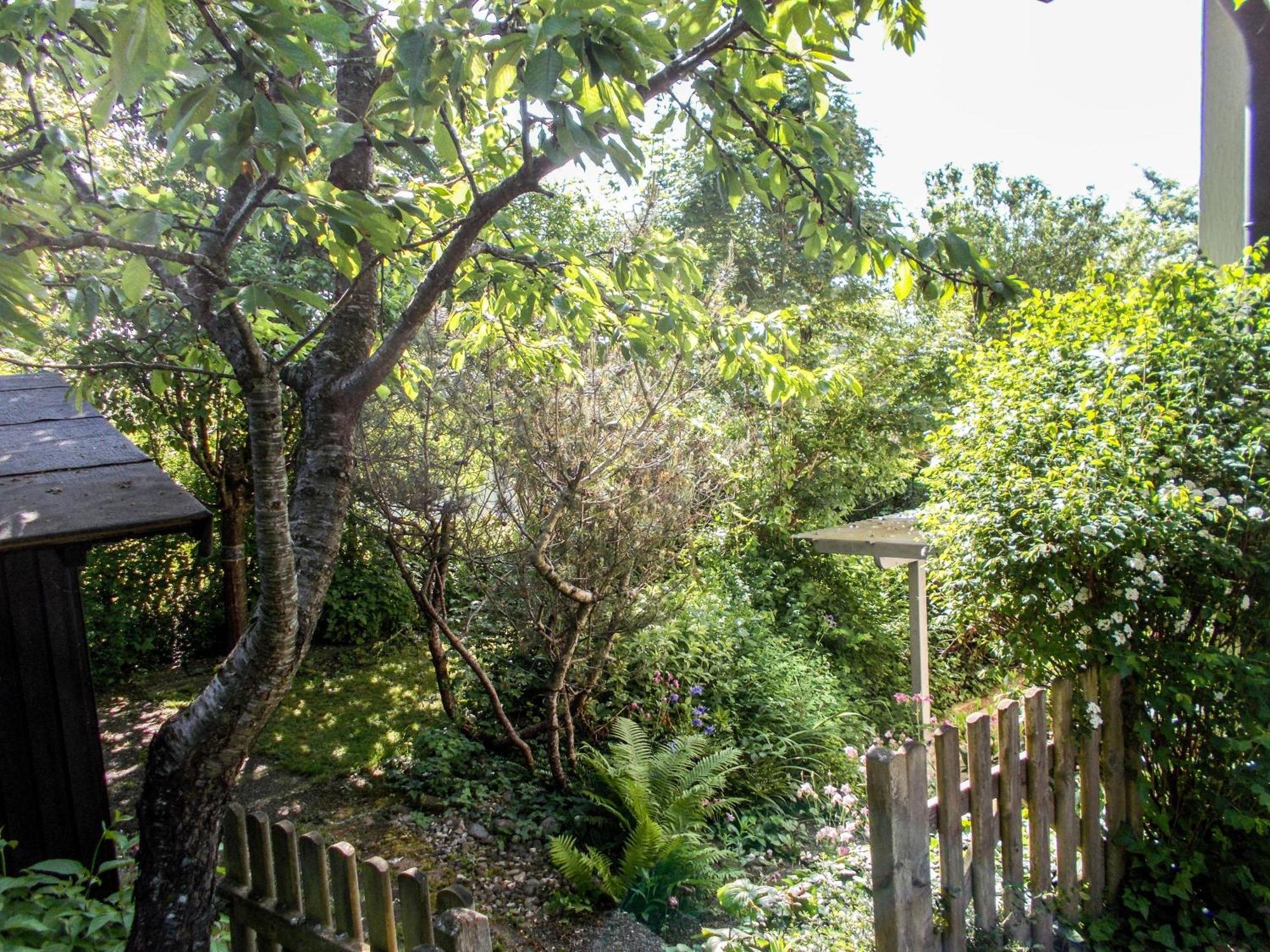 Im Herzen Der Natur Herdwangen-Schönach Exterior foto